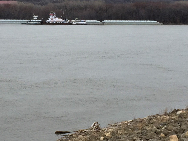 The first barge to reach St. Paul, Minnesota, on March 10, the Stephen L. Colby, is seen here dropping off its load of 12 barges just south of downtown St. Paul. Its arrival signals the opening of the 2017 grain shipping season on the Upper Mississippi River. (Photo by Katharine Klein Sawyer, St. Paul, Minnesota)